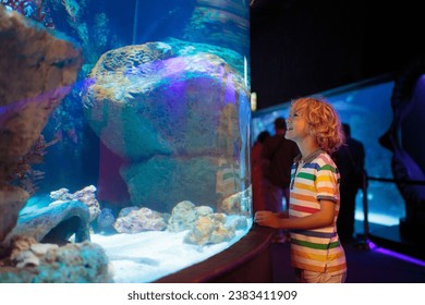 Family in aquarium. Kids watch tropical fish, marine life. Child looking at sea animals in large oceanarium. Ocean life museum. School or vacation day trip to aqua park.