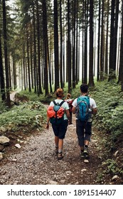 Family With Backpacks Hiking In A Mountains Actively Spending Summer Vacation Together Walking Down A Forest Path. Active People Spending Time Outdoors In A Forest