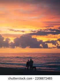 Family From Behind On The Beach During Colorful Sunset