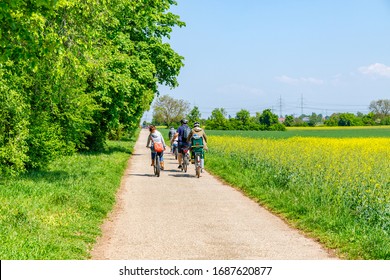 Family Bike Ride In Sunny Spring Day Along Fields And Woods. Cyclists In The Forest. A Group Of Cyclists Riding On The Road