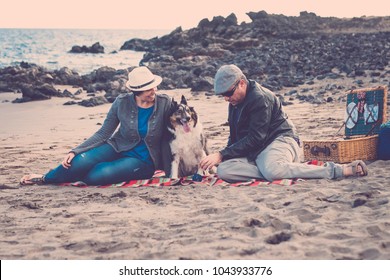 Family With A Border Collie Dog Doing Pic Nic Activity On The Beach In Vacation, Summer Lifestyle With Friends Concept. Old Style And Vintage Filter