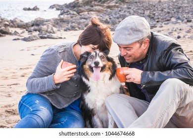 Family With A Border Collie Dog Doing Pic Nic Activity On The Beach In Vacation, Summer Lifestyle With Friends Concept. Old Style And Vintage Filter. Tea Break Time