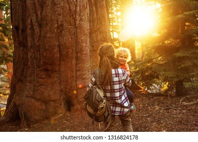 Family With Boy Visit Sequoia National Park In California, USA