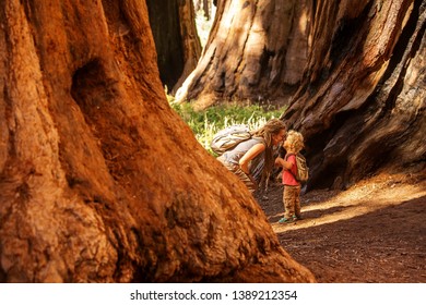 Family With Boy Visit Sequoia National Park In California, USA