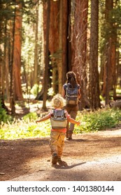 Family With Boy Visit Sequoia National Park In California, USA