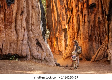 Family With Boy Visit Sequoia National Park In California, USA