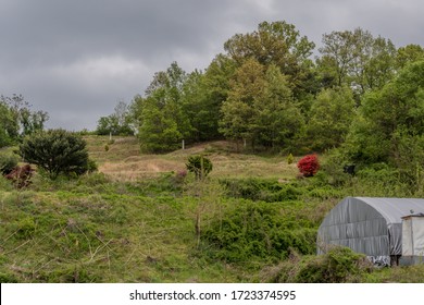 Family Burial Plot With Unmarked Graves On Side Of Mountain Under Cloudy Sky.