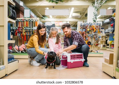 Family buying supplies for little puppy in petshop