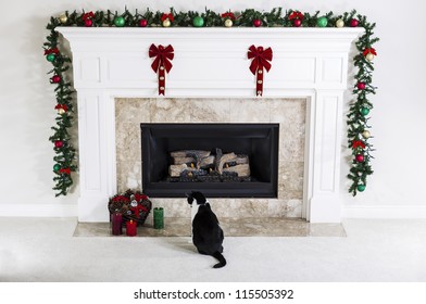 Family Cat Looking At Christmas Candles Near Natural Gas Fireplace With Holiday Ornaments