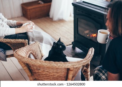 Family And Cat Relaxing In Wicker Armchair By The Fire Place In Wooden Cabin. Warm And Cozy Winter Holiday Concept.