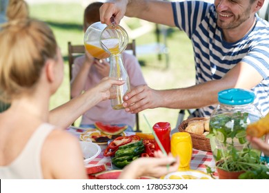 Family Celebrating Summer Picnic Together