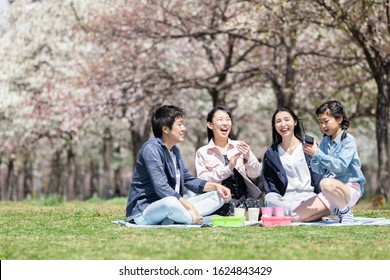 Family is cherry blossom viewing - Powered by Shutterstock