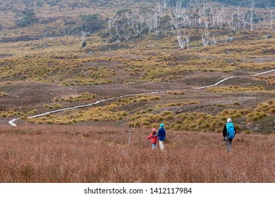 Family With Child Backpack Hiking On The Beginning Section Of Overland Track From Ronnie Creek In Cradle Mountain - Lake St Clair National Park, Tasmania, Australia