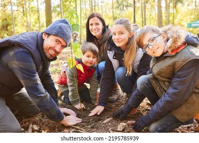 Family and children plant trees in the forest together for conservation and sustainability - Powered by Shutterstock