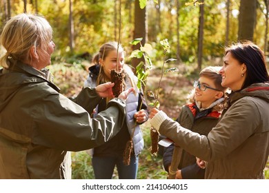 Family With Children Studying Trees In The Forest With Climate Tree Seedlings For Reforestation