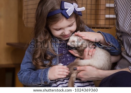 Family in the contact zoo, the mother and daughter are holding a carnivorous white ferret and stroking, a kind animal.