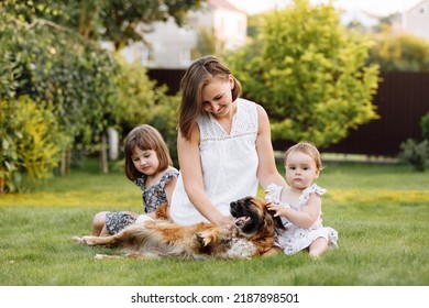 Family Day, Mother's Day. Beautiful Smiling Young Mom And Two Child Daughters Cuddling Happy Domestic Dog On The Backyard Lawn. Idyllic Family Having Fun With Pet Outdoors On Summer Holiday