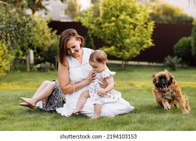 Family Day, Mother's Day. Beautiful Smiling Young Mom And Two Child Daughters Cuddling Happy Domestic Dog On The Backyard Lawn. Idyllic Family Having Fun With Pet Outdoors On Summer Holiday