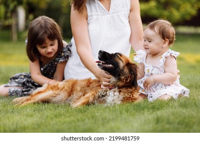 Family Day, Mother's Day. Beautiful Smiling Young Mom And Two Child Daughters Cuddling Happy Domestic Dog On The Backyard Lawn. Idyllic Family Having Fun With Pet Outdoors On Summer Holiday