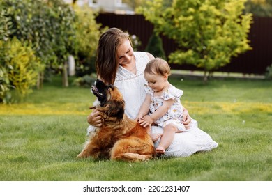 Family Day, Mother's Day. Beautiful Smiling Young Mom And Baby Daughter Cuddling Happy Domestic Dog On The Backyard Lawn.Mother With Child Girl Are Having Fun With Pet Outdoors On Summer Holiday