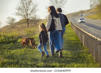 A Family With A Dog Makes A Hiking Trip With A Dog, Travelers With A Child Walk Along A Dusty Road