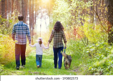 Family with dog walking in the forest back to camera