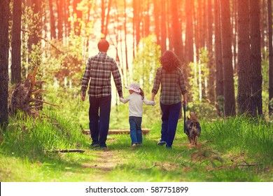 Family With Dog Walking In The Forest Back To Camera