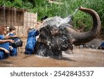 Family enjoying the elephant bathing ritual experience at a reserve in Chiang Mai, Thailand