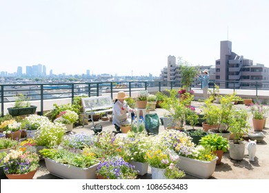 A Family Enjoying Gardening At The Roof Balcony