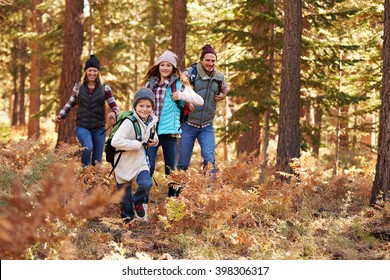 Family Enjoying Hike In A Forest, California, USA
