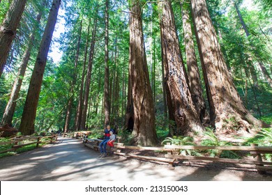 Family Enjoying Redwood Forest In California