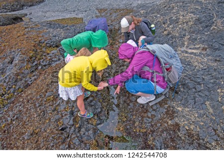 Family exploring the Tidepools at Low Tide on the coast of the Olympic Peninsula at Salt Creek Recreation Area in Washington