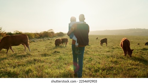Family, farm and cattle with a girl and father walking on a field or grass meadow in the agricultural industry. Agriculture, sustainability and farming with a man farmer and daughter tending the cows - Shutterstock ID 2254692903
