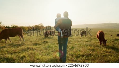 Family, farm and cattle with a girl and father walking on a field or grass meadow in the agricultural industry. Agriculture, sustainability and farming with a man farmer and daughter tending the cows