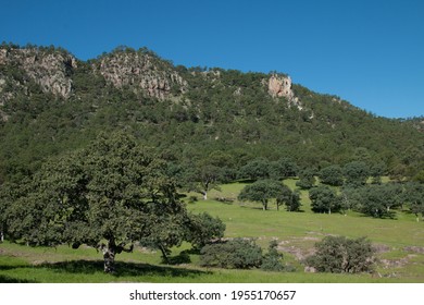 Family Farm Mountainous Mexico, Sierra Madre Occidental