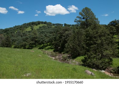 Family Farm Mountainous Mexico, Sierra Madre Occidental