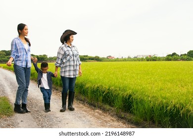 Family Of Farmers, Asian Woman Two Brothers And Grandson Proudly Walk Through The Rice Fields Cornfield In The Verdant Agricultural Countryside : Family Business In Agriculture Concept.
