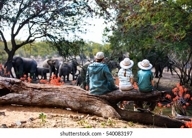 Family Of Father And Kids On African Safari Vacation Enjoying Wildlife Viewing At Watering Hole