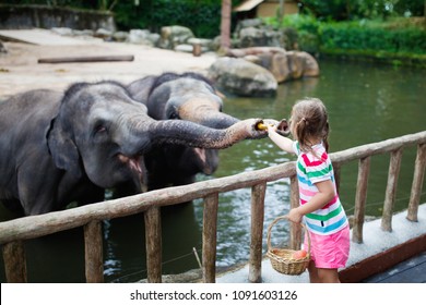 Family feeding elephant in zoo. Children feed Asian elephants in tropical safari park during summer vacation in Singapore. Kids watch animals. Little girl giving fruit to wild animal.