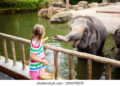 Family feeding elephant in zoo. Children feed Asian elephants in tropical safari park during summer vacation in Singapore. Kids watch animals. Little girl giving fruit to wild animal. - Shutterstock ID 1391978579