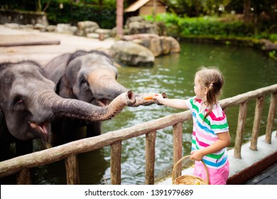 Family feeding elephant in zoo. Children feed Asian elephants in tropical safari park during summer vacation in Singapore. Kids watch animals. Little girl giving fruit to wild animal. - Shutterstock ID 1391979689