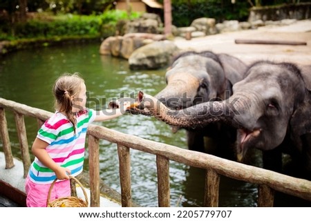 Family feeding elephant in zoo. Children feed Asian elephants in tropical safari park during summer vacation 