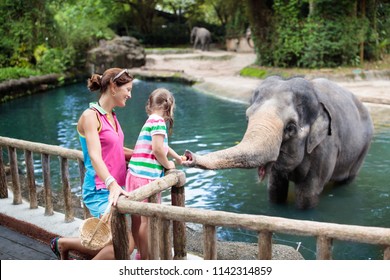  Family feeding elephant in zoo. Mother and child feed Asian elephants in tropical safari park during summer vacation in Singapore. Kids watch animals. Little girl giving fruit to wild animal. 