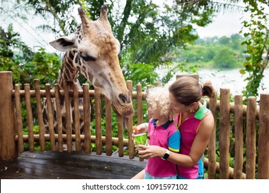 Family feeding giraffe in zoo. Children feed giraffes in tropical safari park during summer vacation in Singapore. Kids watch animals. Mother and little boy giving fruit to wild animal.