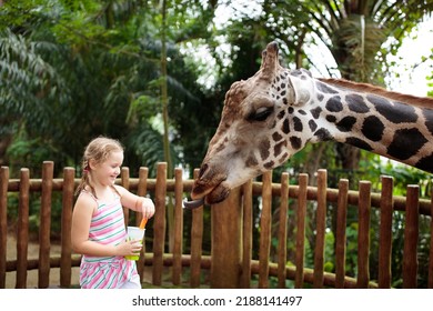Family feeding giraffe in zoo. Children feed giraffes in tropical safari park during summer vacation. Kids watch animals. Little girl giving fruit to wild animal.