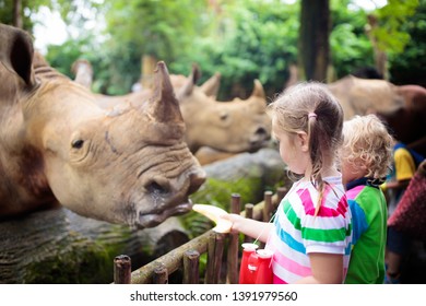 Family Feeding Rhino In Zoo. Children Feed Rhinoceros In Tropical Safari Park On Summer Vacation In Singapore. Kids Observe Animals. Little Girl And Boy Look At Rhinos. Wildlife Amusement Center.