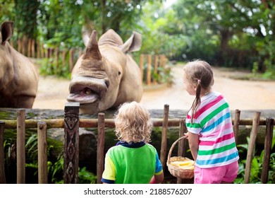 Family Feeding Rhino In Zoo. Children Feed Rhinoceros In Tropical Safari Park On Summer Vacation In Singapore. Kids Observe Animals. Little Girl And Boy Look At Rhinos. Wildlife Amusement Center.