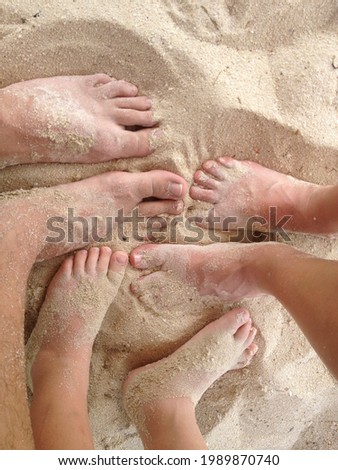 
family feet on the beach sand in summer
