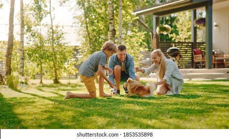 Family of Four Having fun Playing with Cute Little Pomeranian Dog In the Backyard. Father, Mother, Son Pet Fluffy Smart Puppy, teach and train it Commands. Sunny Summer Day in Idyllic Suburban House - Shutterstock ID 1853535898
