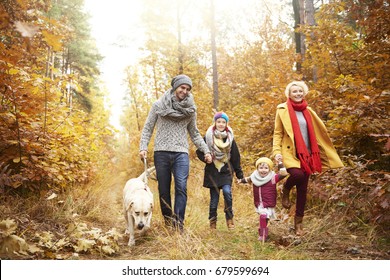 Family Of Four People Walking A Dog In Forest